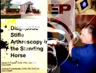 How to Perform Diagnostic Stifle Arthroscopy with the Use of a Needle Arthroscope in Standing Horses icon