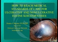 How to Reach the Medical Standards of Care for Ulcerative and Non-Ulcerative Equine Keratopathies icon