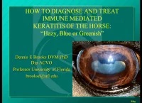 How to Diagnose and Treat Immune-Mediated Keratitis of the Horse icon