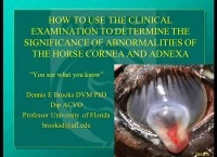 How to Use the Clinical Examination to Determine the Significance of Abnormalities of the Horse Cornea and Adnexa icon