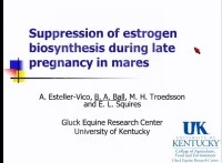 Suppression of Estrogen Biosynthesis During Late Pregnancy in Mares