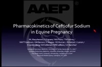 Pharmacokinetics of Ceftiofur Sodium in Equine Pregnancy