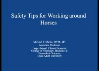 Safety Tips for Working Around Horses icon