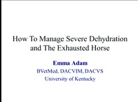 How to Manage Severe Dehydration and the Exhausted Horse icon