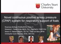 Novel Continuous Positive Airway Pressure System for Respiratory Support of Foals icon