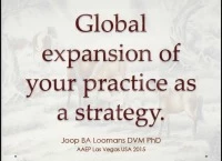 Global Expansion of Your Practice as a Strategy icon