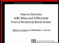 How to Estimate White Blood Cell Mass and Differential from a Peripheral Blood Smear
