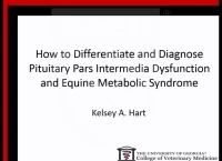 How to Differentiate and Diagnose Pituitary Pars Intermedia Dysfunction and Equine Metabolic Syndrome
