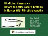 Hind Limb Kinematics Before and After Laser Fibrotomy in Horses with Fibrotic Myopathy icon