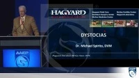 Dystocia Triage and Procedures icon