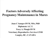 Factors Adversely Affecting Pregnancy Maintenance in Mares icon