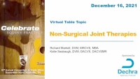 Non-Surgical Joint Therapies icon