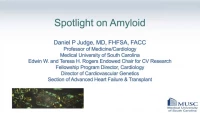 Spotlight on Amyloid icon