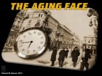 2012 Annual Session - The Aging Face icon