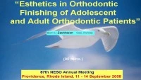 2008 NESO Annual Meeting - Esthetics in Orthodontic Finishing of Adolescent and Adult Orthodontic Patients icon