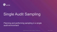 Single Audit Sampling icon