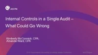 Internal Controls in a Single Audit- What Could Go Wrong icon