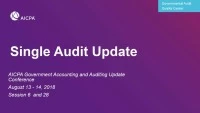 Single Audit Update (Repeat of GAE1806) icon