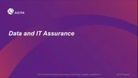 Data and IT Assurance icon