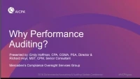 Why Performance Audits? icon