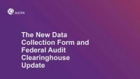 How to Use the Federal Audit Clearinghouse icon