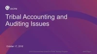 Tribal Accounting & Auditing Issues icon