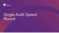 Single Audit Speed Round icon