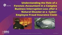 Role of a Forensic Accountant in a Complex Business Interruption/Cyber/Fraud Insurance Claim icon