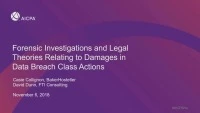 Forensics Investigations and Legal Theories Relating to Damages in Data Breach Class Actions icon