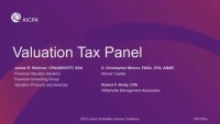 Valuation Tax Panel icon