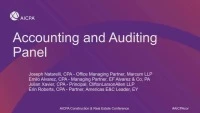 Accounting and Auditing Panel icon