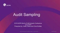 Effective and Efficient Financial Statement Audit Sampling icon