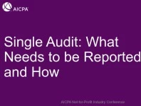 Single Audit: What Needs to be Reported and How icon