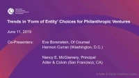 Trends in 'Form of Entity' Choices for Philanthropic Ventures icon