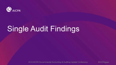 Single Audit Findings icon