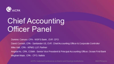 Chief Accounting Officer Panel icon