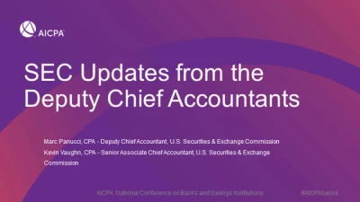 SEC Updates from the Deputy Chief Accountants icon