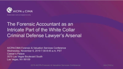 The Forensic Accountant as an Intricate Part of the White Collar Criminal Defense Lawyer's Arsenal  icon