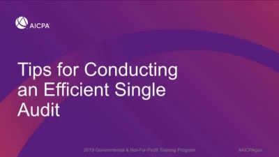 Tips for Planning to Achieve an Efficient Single Audit (Repeat of GOV1943) icon