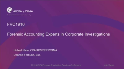 Forensic Accounting Experts in Corporate Investigations  icon