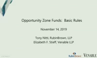 Opportunity Zone Funds: Basic Rules icon