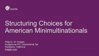 Structuring Choices for American Minimultinationals icon