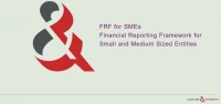 Financial Reporting Framework for Small and Medium Size Entities icon