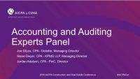 Accounting and Auditing Experts Panel icon