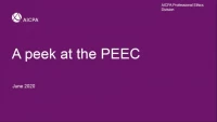 NAA2007. Ethics Update - A Peek at the PEEC icon