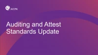 NAA2002. Auditing and Attest Standards Update icon
