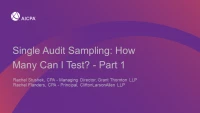 Single Audit Sampling: How Many Can I Test? - Part 1 icon