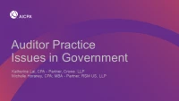 Auditor Practice Issues in Government icon