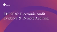 Electronic Audit Evidence & Remote Auditing icon