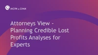 Attorneys View - Planning Credible Lost Profits Analyses for Experts icon